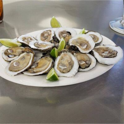 Oysters